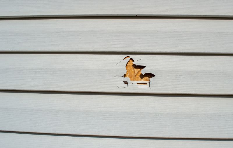 Vinyl Siding Repair Image 15