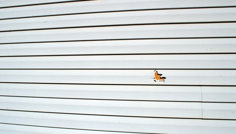 Vinyl Siding Repair Image 4